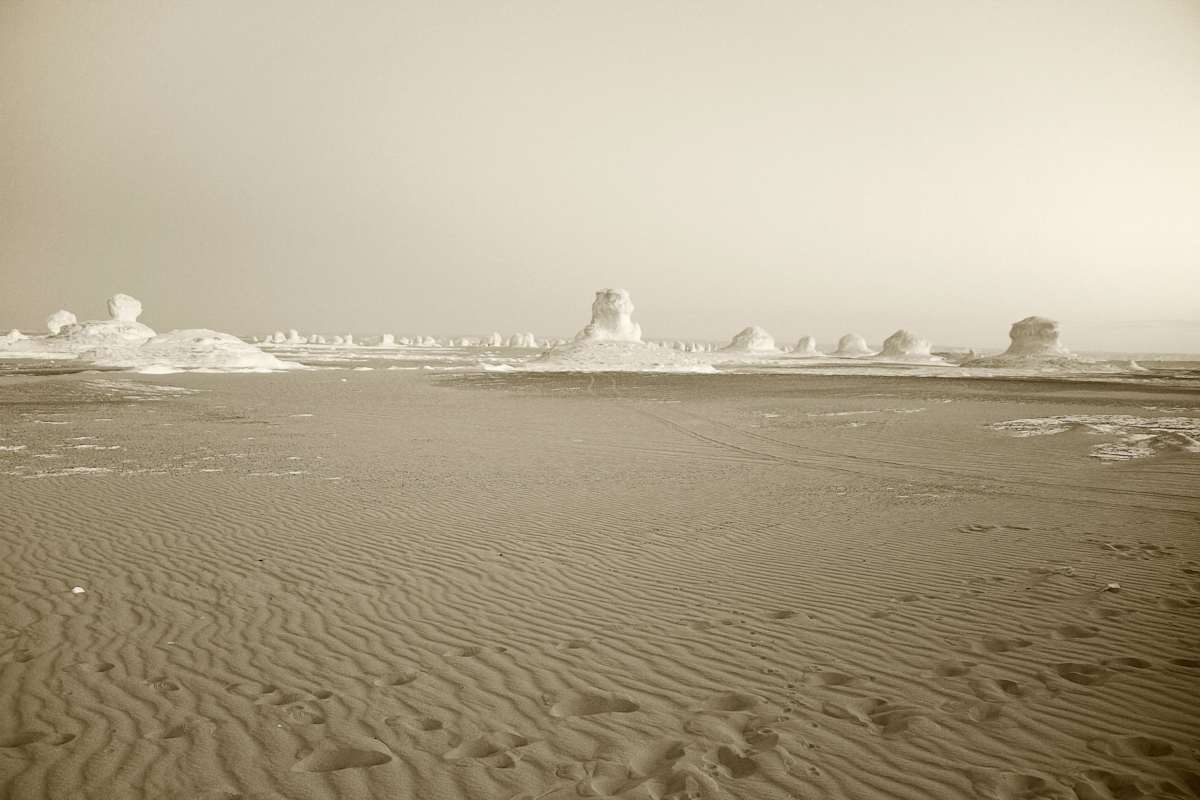 The White Desert by Susan Moldenhauer, Image 2.