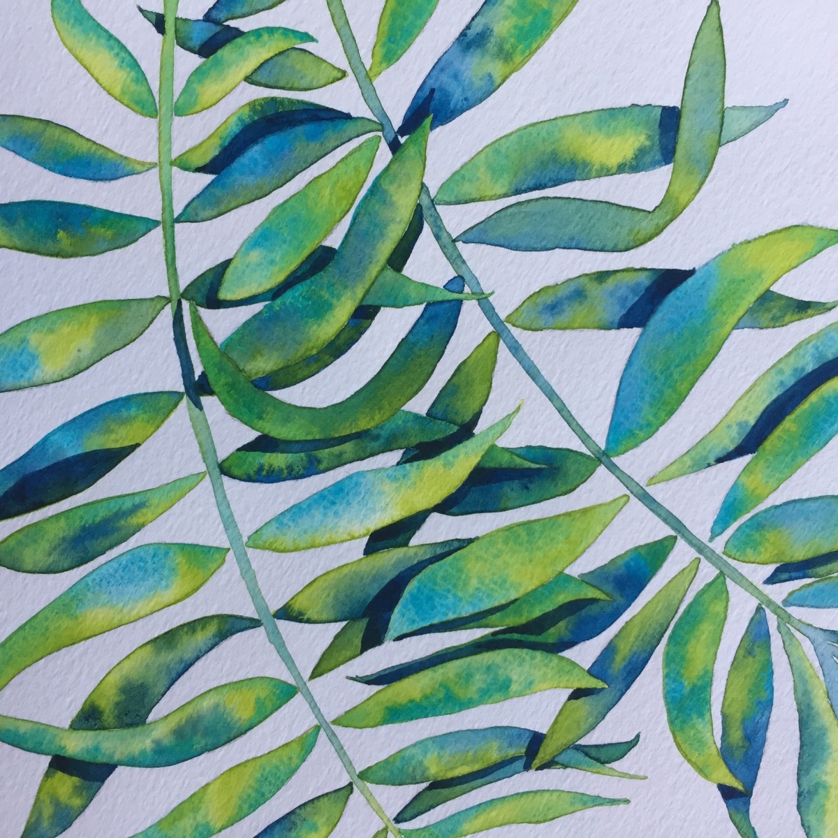 Tropical Leaves 2 by Sheryl L Brake 