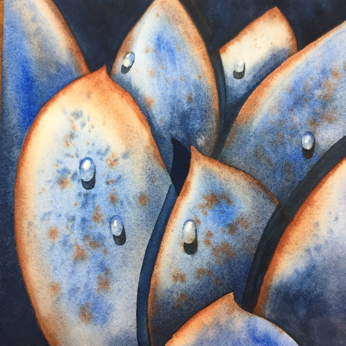 Succulent in Blue by Sheryl L Brake 