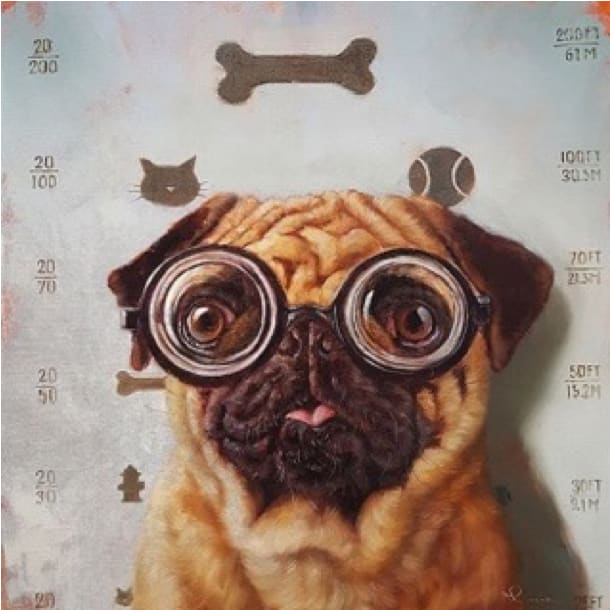 Canine Eye Exam 