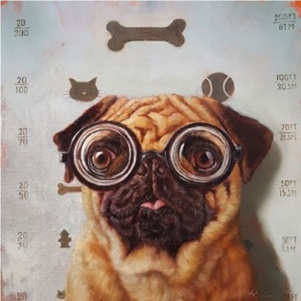 Canine Eye Exam, Image 1.