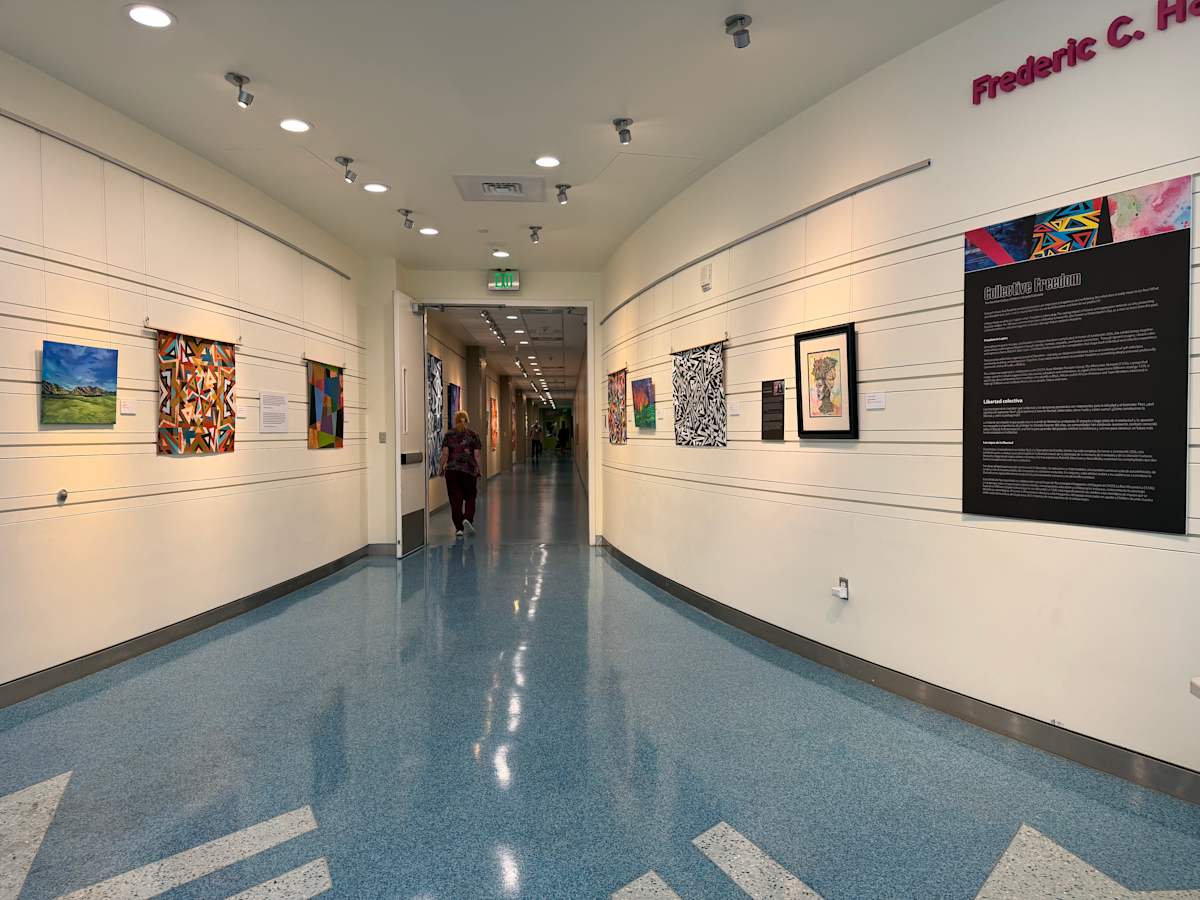 Exhibition Image 2.