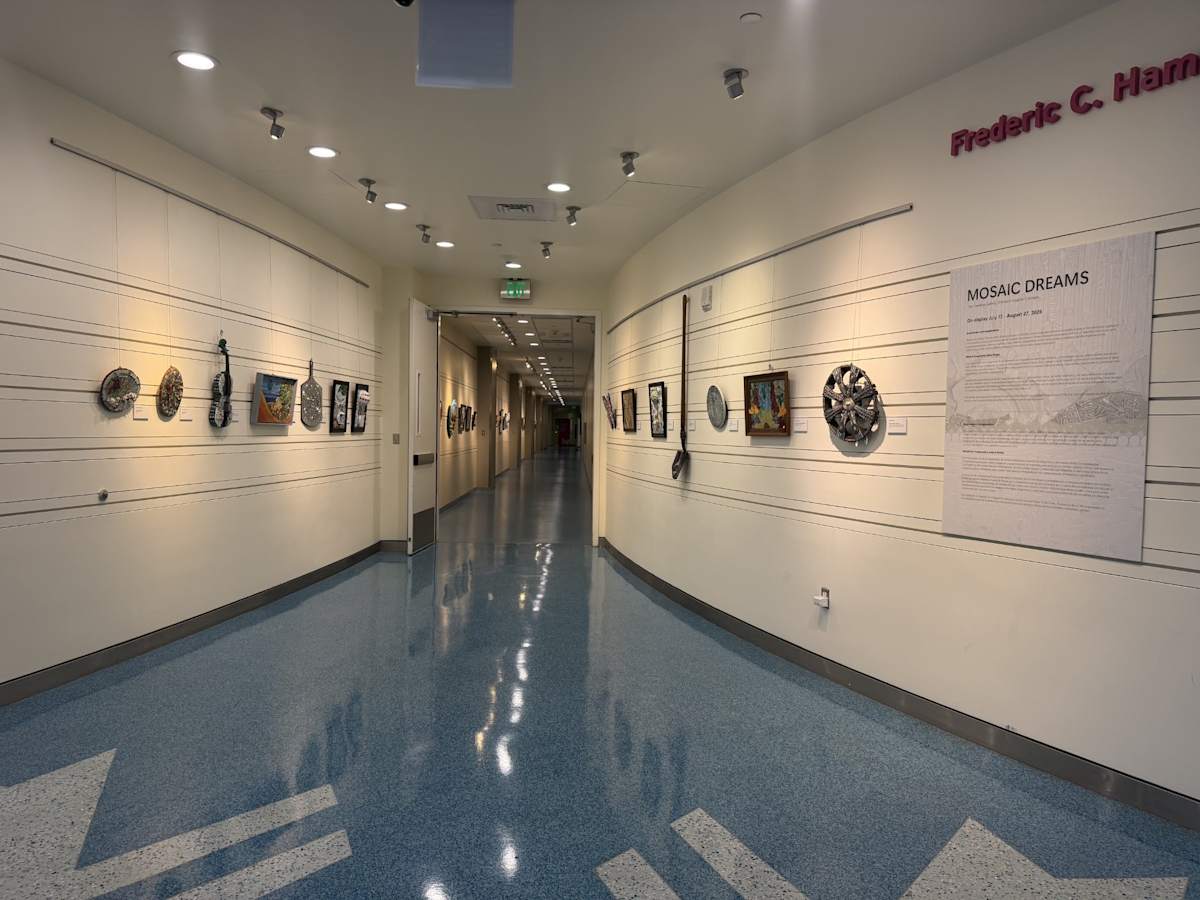 Exhibition Image 2.