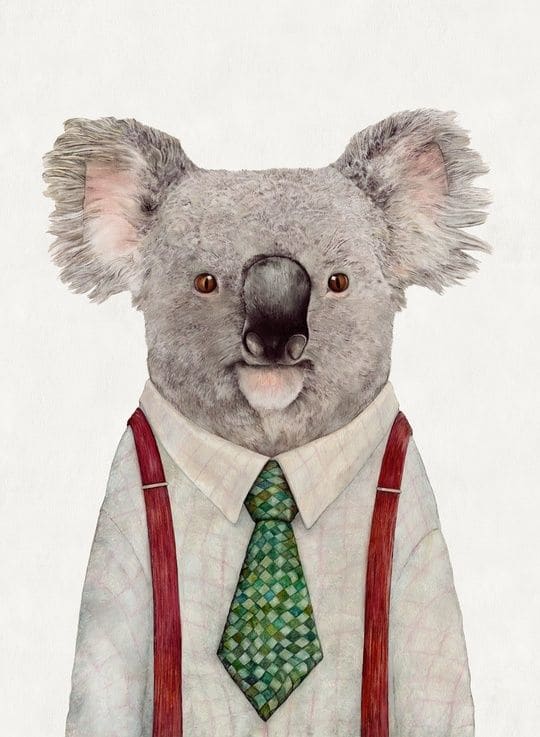 Koala by Animal Crew 