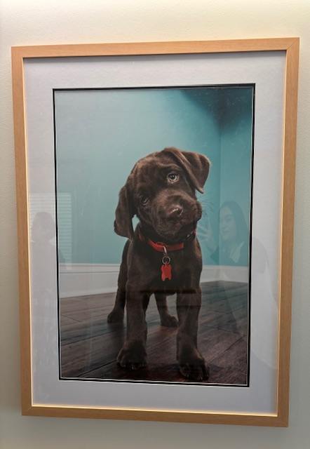 A Standing Chocolate 