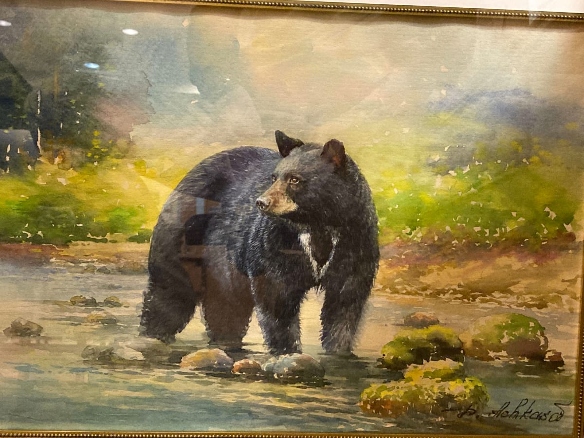 American Black bear, Ursus Americanus by Demetrij Achkasov 