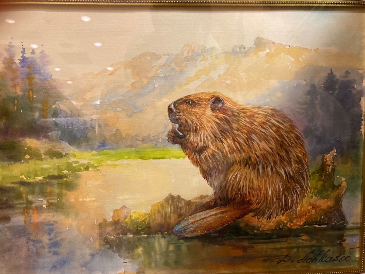 Beaver Castor by Demetrij Achkasov 