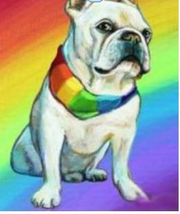 Bruley the Frenchie by Unknown 