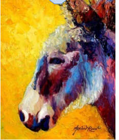 Burro Study II by Unknown 