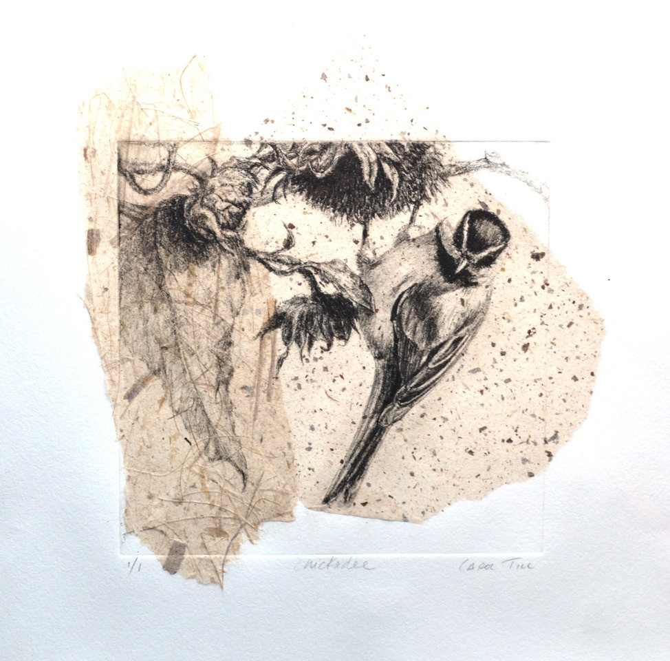 Chickadee 1/1 by Carol Till, Image 1.
