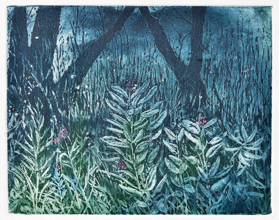 Fireflies 1/1 by Carol Till, Image 1.