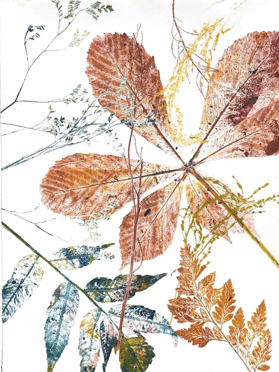 Horsechestnut 1/1 by Carol Till, Image 1.