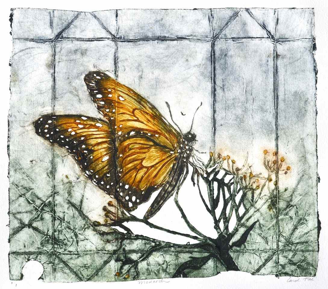 Monarch 1/1 by Carol Till, Image 1.