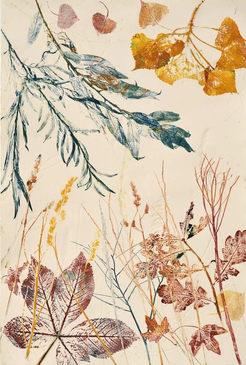 Native Trees 1/1 by Carol Till, Image 1.