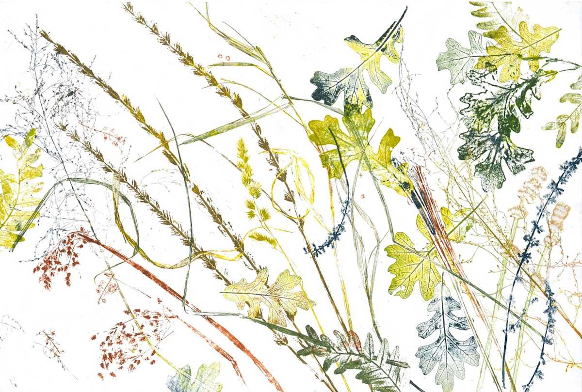 Summer Oaks 1/1 by Carol Till, Image 1.