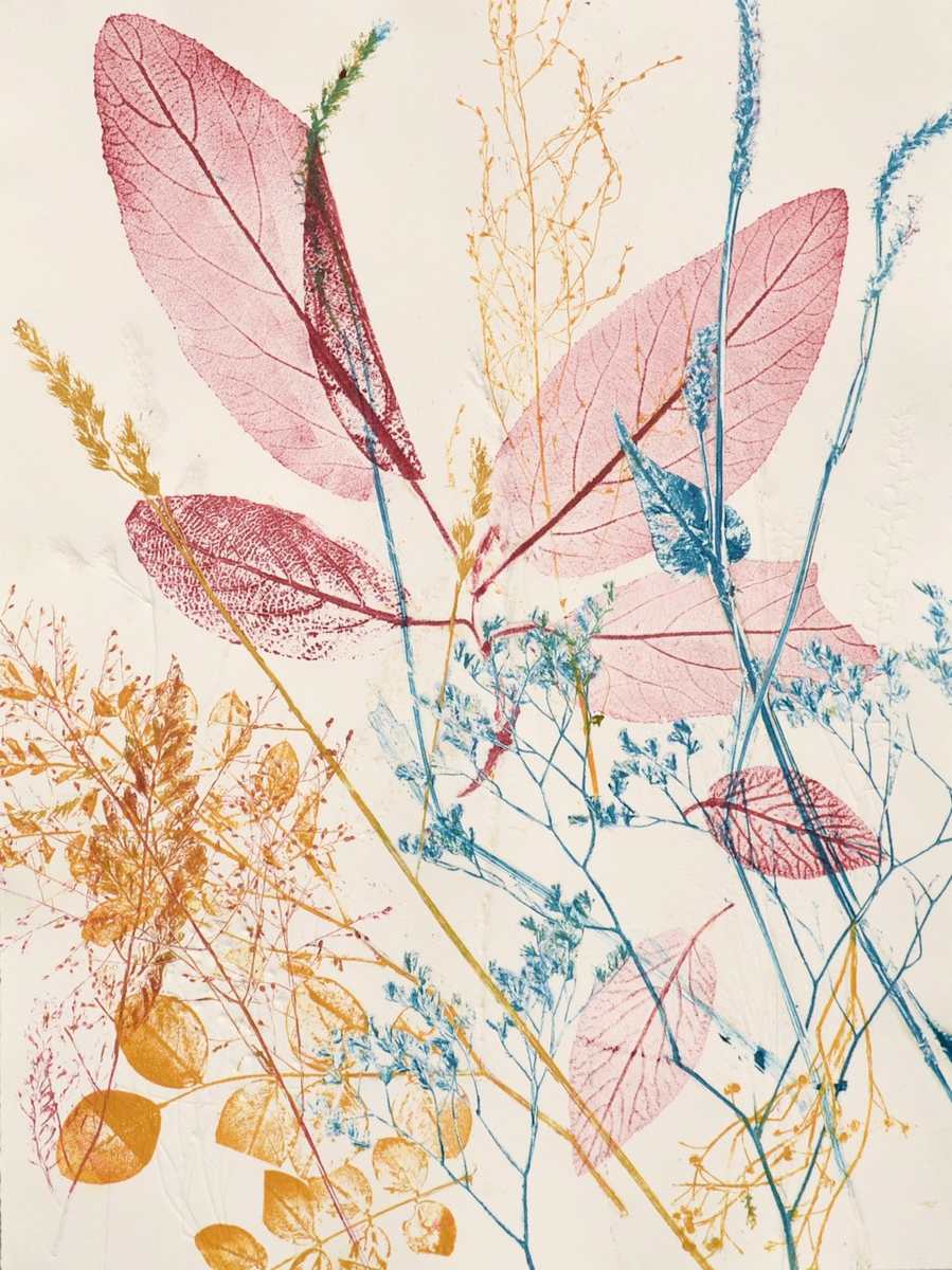 Viburnum 1/1 by Carol Till, Image 1.