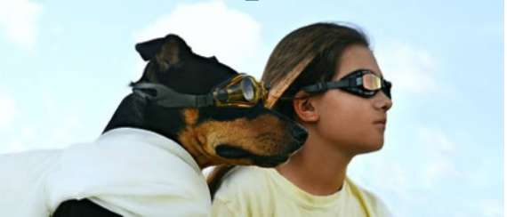 Dog is my co pilot by Unknown 