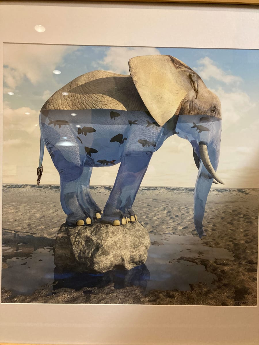 Drinking problem by Cynthia Decker, Image 1.