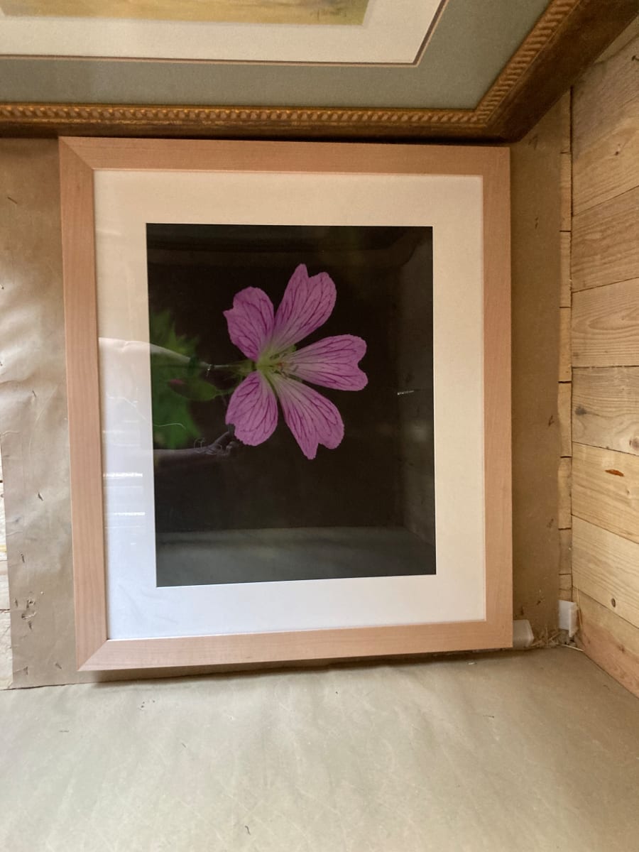 Misc. Storage- Flower, Image 4.