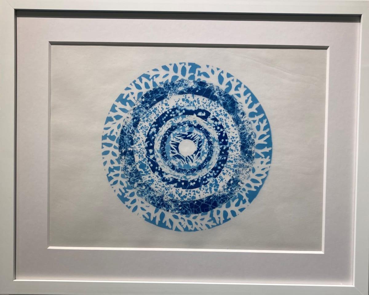Celestial Ripples by Eileen Roscina  Image: These circles, created from pressed botanicals and sunlight, are reminiscent of tree rings. Each ring — a generation of family growing from the inside out —  tells its own unique story, but is also deeply connected and influenced by what has come before. These prints are like a map tracing back our ancestral origins, our roots, to the center. 