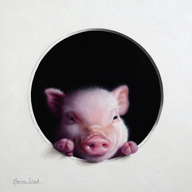 Cochon #8 by Marina Dieul 