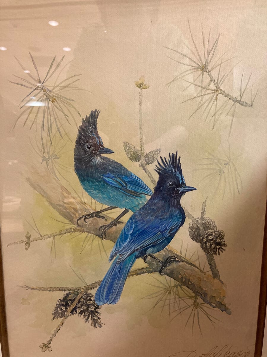 Pair of Steller's Jay by Demetrij Achkasov 