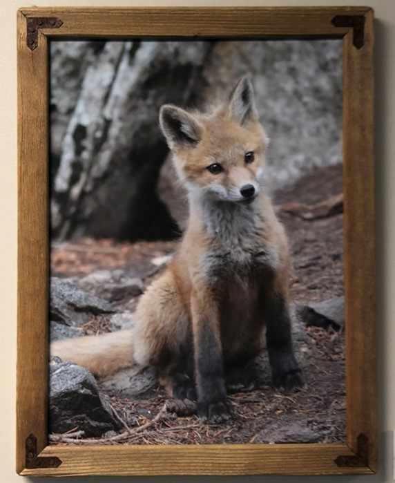 Ambush Alert by Melony Smith, Image 1.