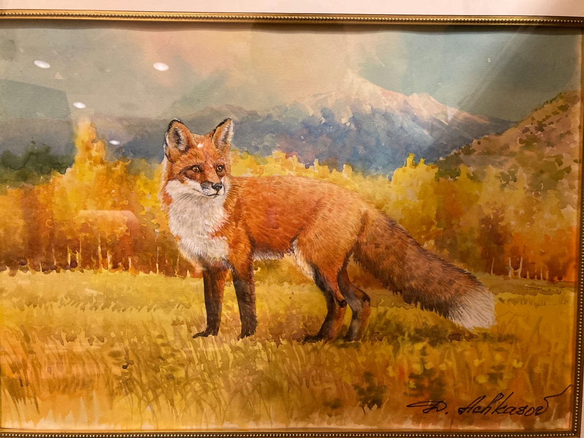 Red Fox, Vulpes Vulpes by Demetrij Achkasov 