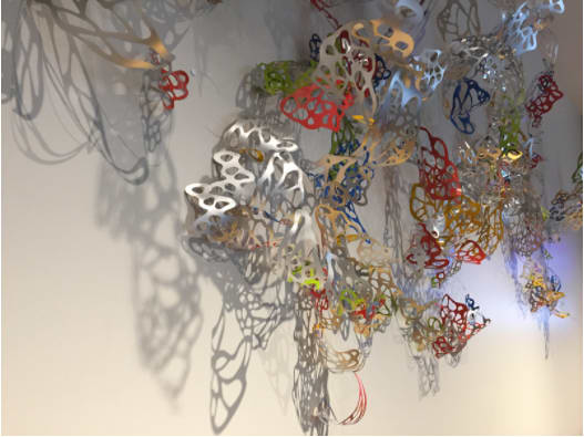Reflected Light by Jane Guthridge 