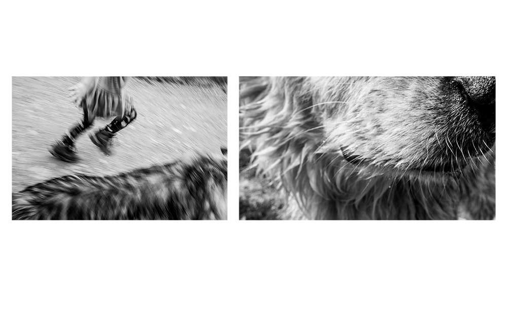 Relinquish 1 by Casie Zalud, Image 1.
