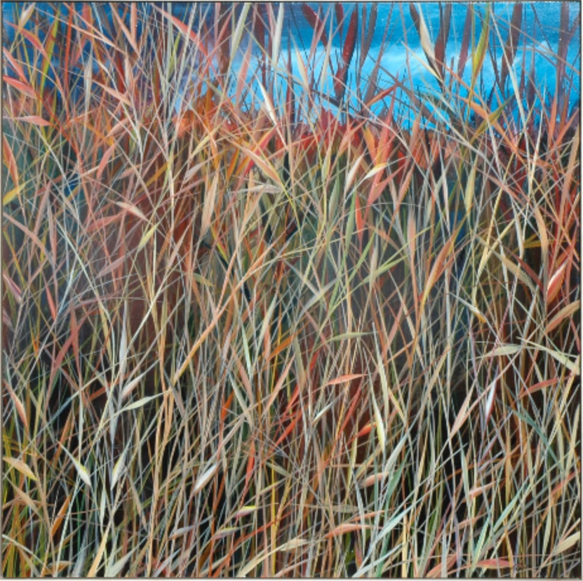 Grasses Series by Charlie Burk 