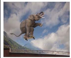 Skateboarding Elephant by Unknown 
