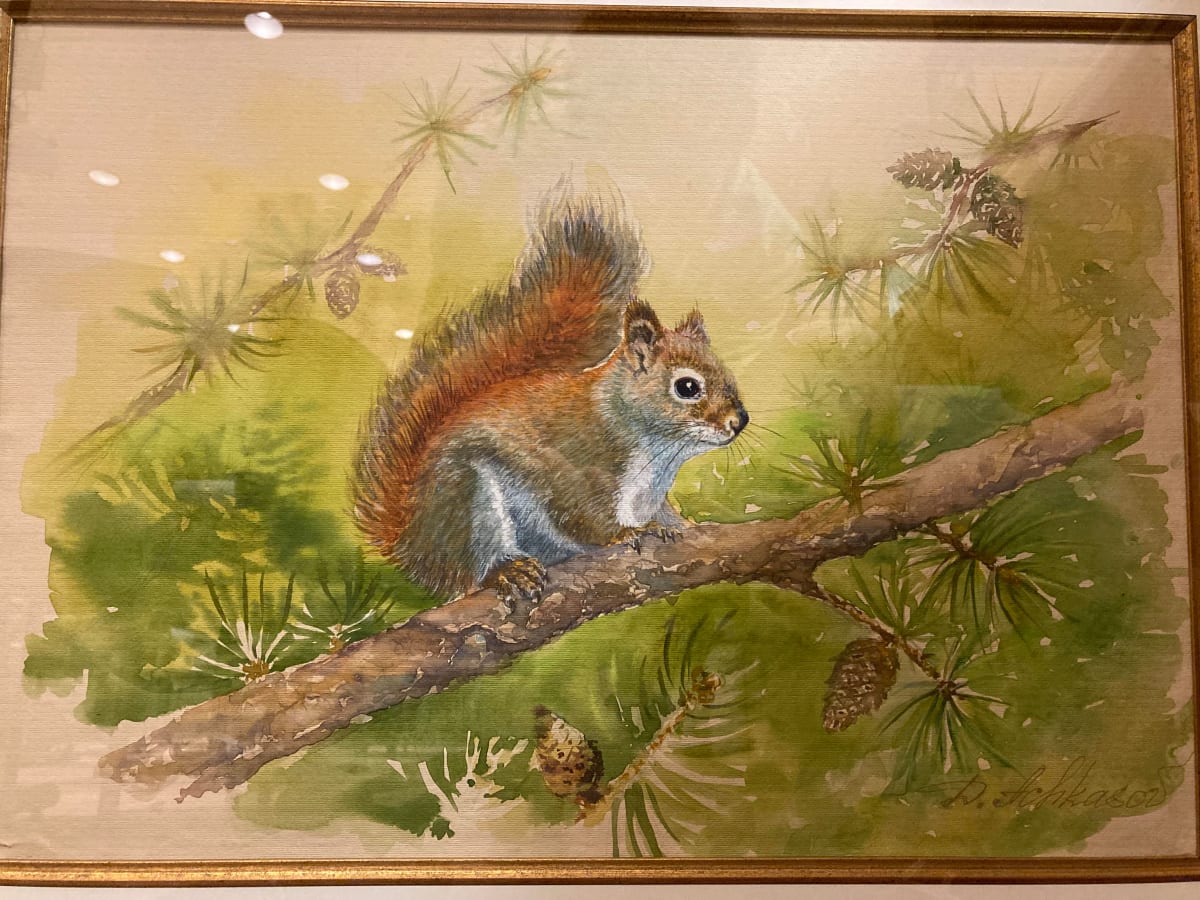 Squirrel (Sciuridae) by Demetrij Achkasov 