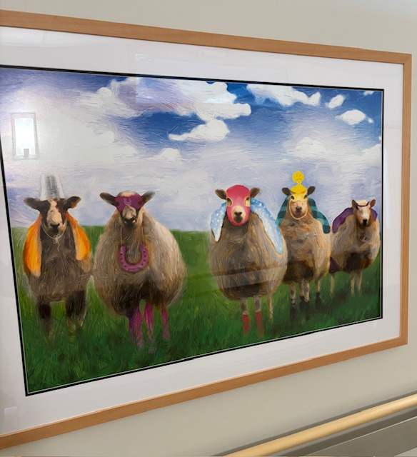 SuperSheep Ew-Nighted 