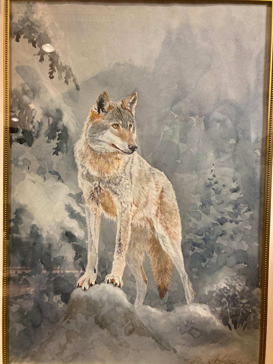 Wolf, Canis Lupus by Demetrij Achkasov 