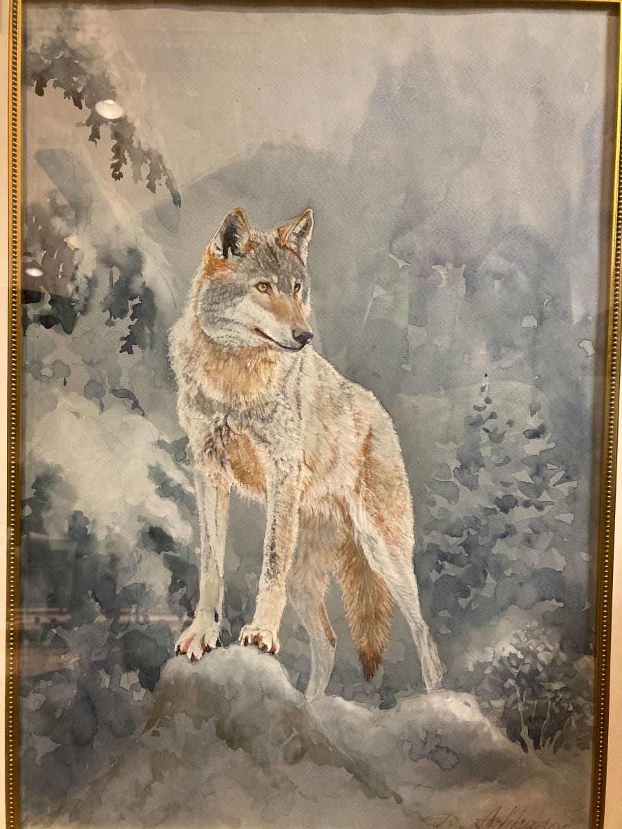 Wolf, Canis Lupus by Demetrij Achkasov, Image 1.