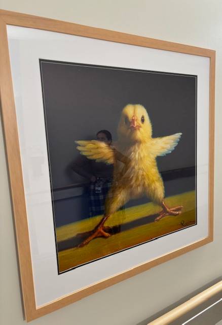 Yoga Chick Star, Image 1.