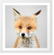 Fox - Baby Animals by Gal Design 