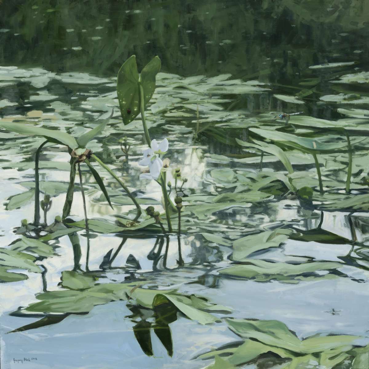 Water Lilies by Gregory Block 