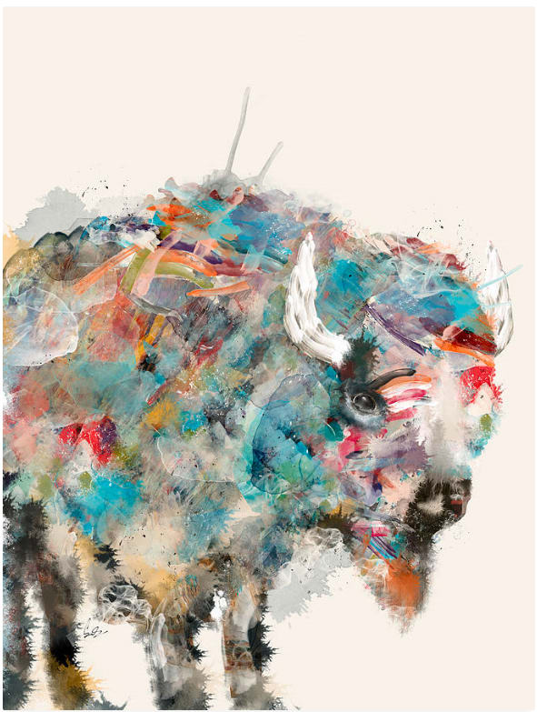 The Buffalo by Bri Buckley 