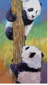Panda Fun by Unknown 