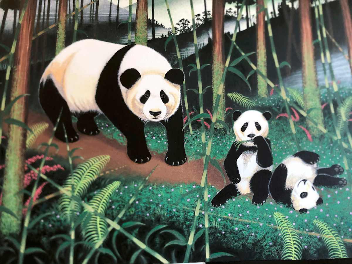 Cloudforest Pandas by Jock Bartley, Image 1.