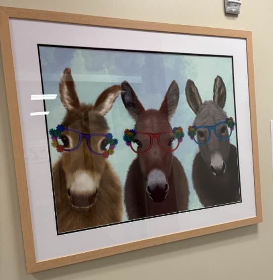 Donkey Trio Flower Glasses 