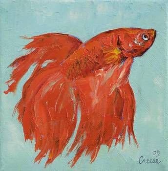 Siamese Fighting Fish by Michael Creese 