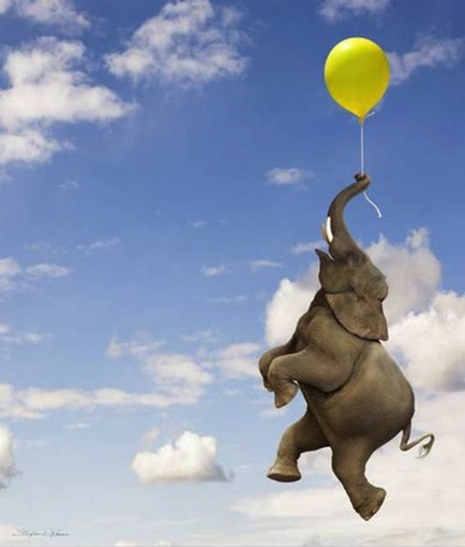 Elephant Grasping the Balloon String by Stephanie Roeser 