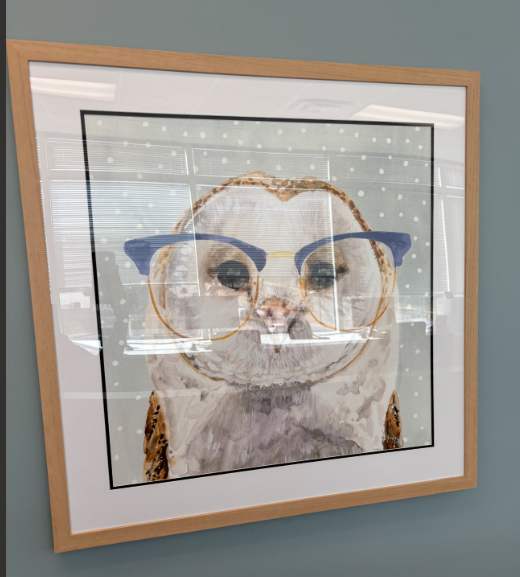 Four-eyed Forester II 