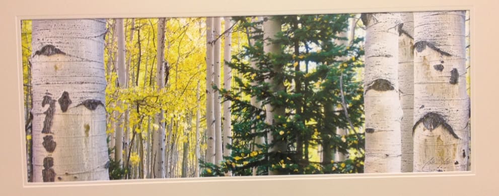 Lemon Aspens by Gale Gatto 