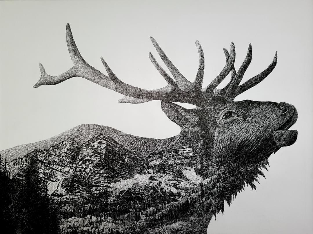 Maroon Bells Elk by Britney Gibson 