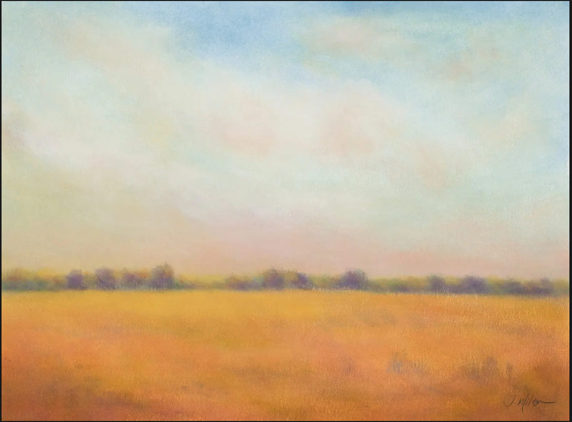 In the Still by Jenny Wilson 