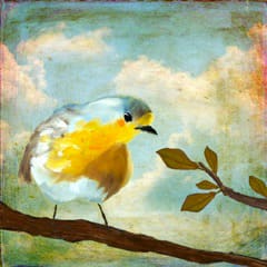 Little Bird IV by Angela Moulton 